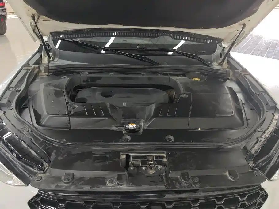 Wey Wey VV6 — миниатюра 10