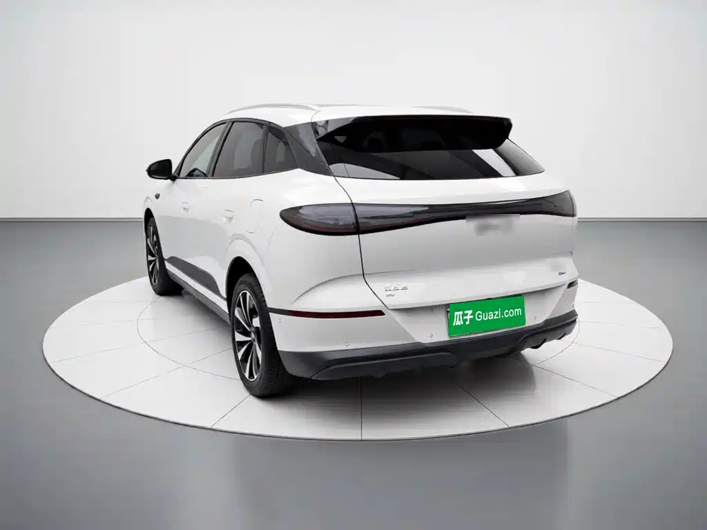 BYD Sealion 06 — миниатюра 4
