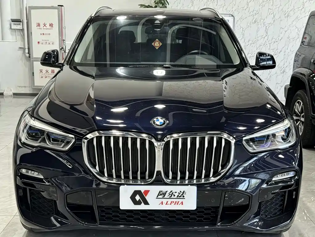 BMW X5 (Import) — миниатюра 2