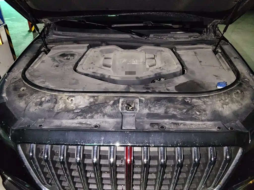 Hongqi Hongqi HS7 — миниатюра 11
