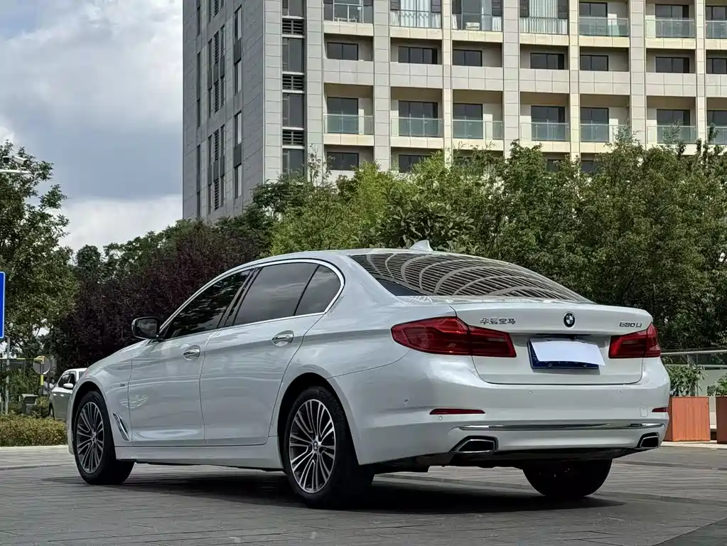 BMW 5 Series 5 2018 530Li Premium Luxury