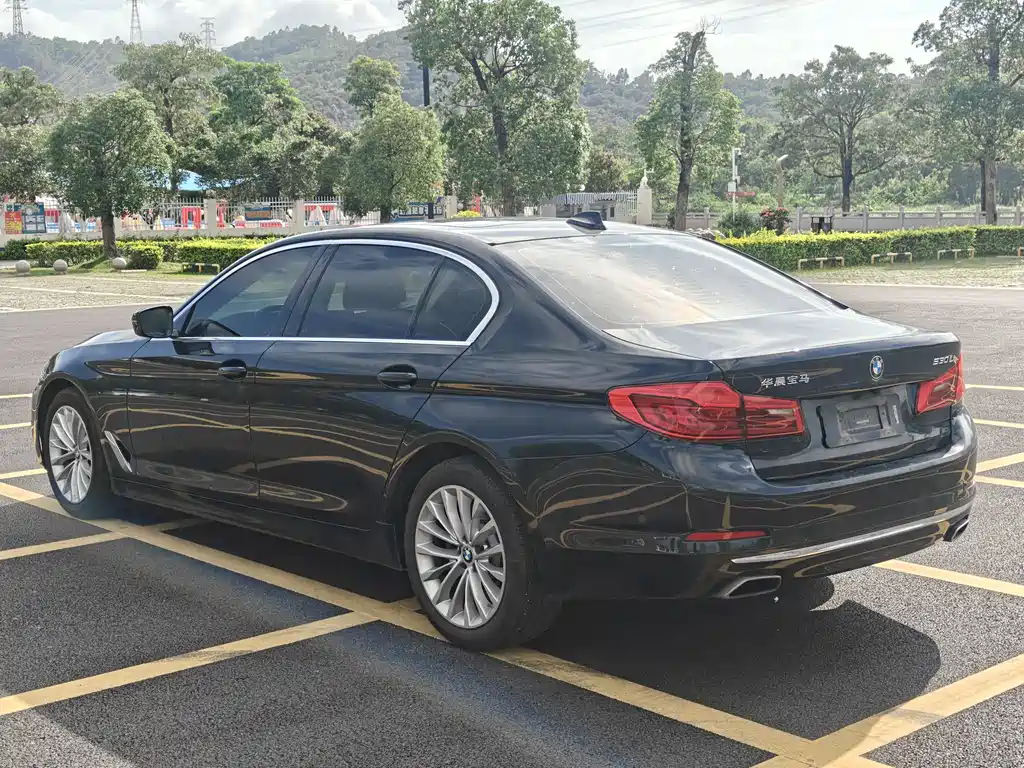 BMW 5 Series 5 2020 530Li Premium Luxury