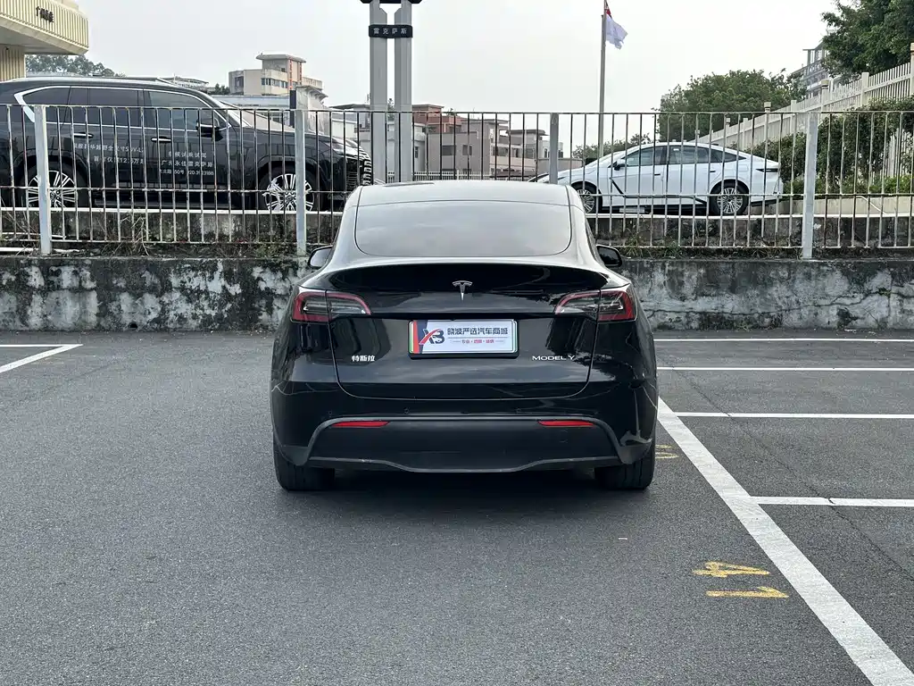 Tesla Model Y — миниатюра 4