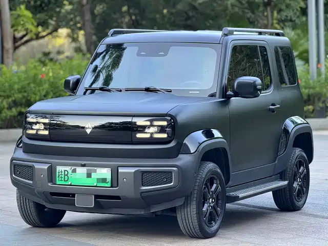 BAOJUN YUE ALSO 2024