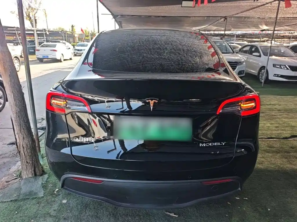 Tesla Model Y — миниатюра 6