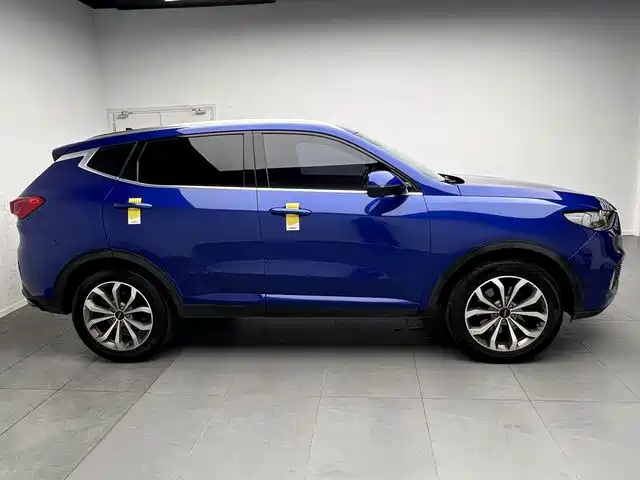 Wey Wey VV6 — миниатюра 13