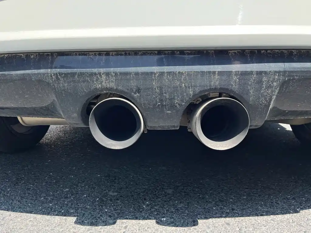 Volkswagen Golf (Import) — миниатюра 9