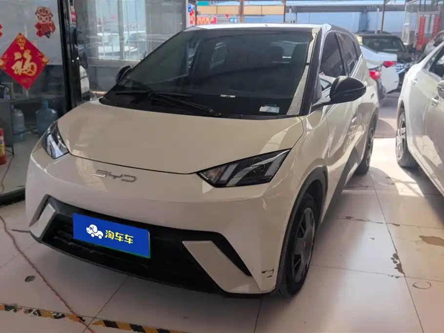 Byd Seagull 2024