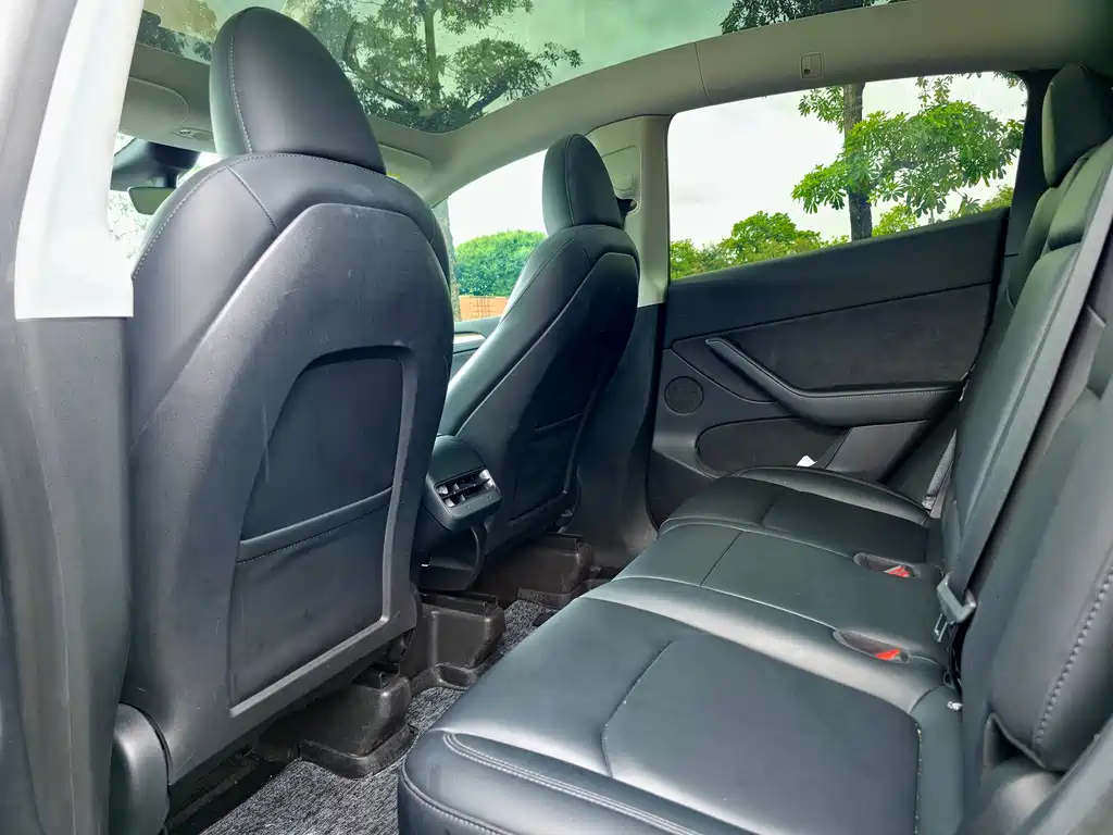 Tesla Model Y — миниатюра 6
