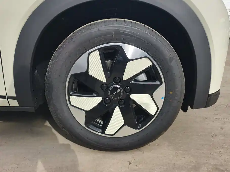 BYD Dolphin 2025 420km Freedom