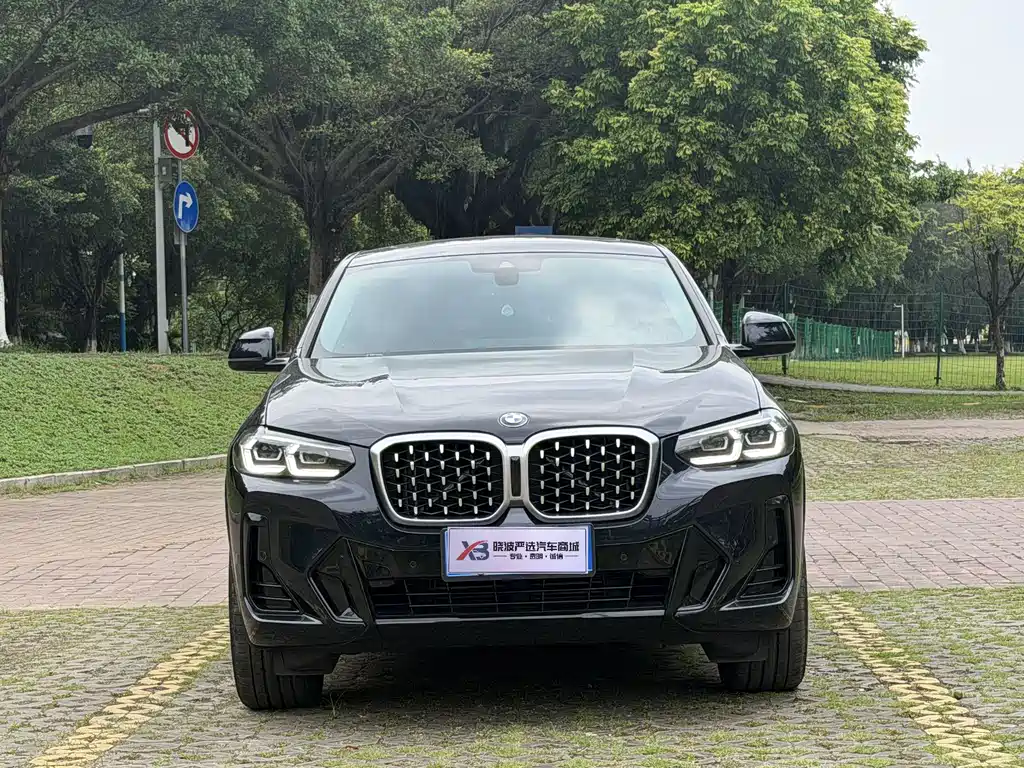 BMW X4 2022 xDrive 25i M Sport