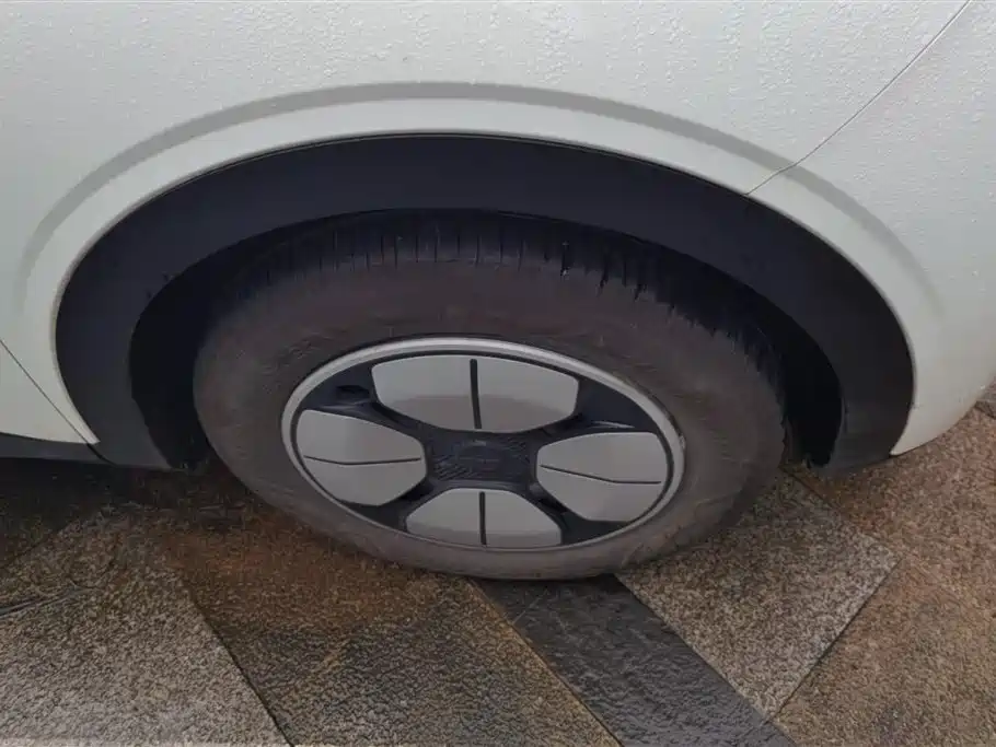 Geely Geome Xingyuan 2025 310km