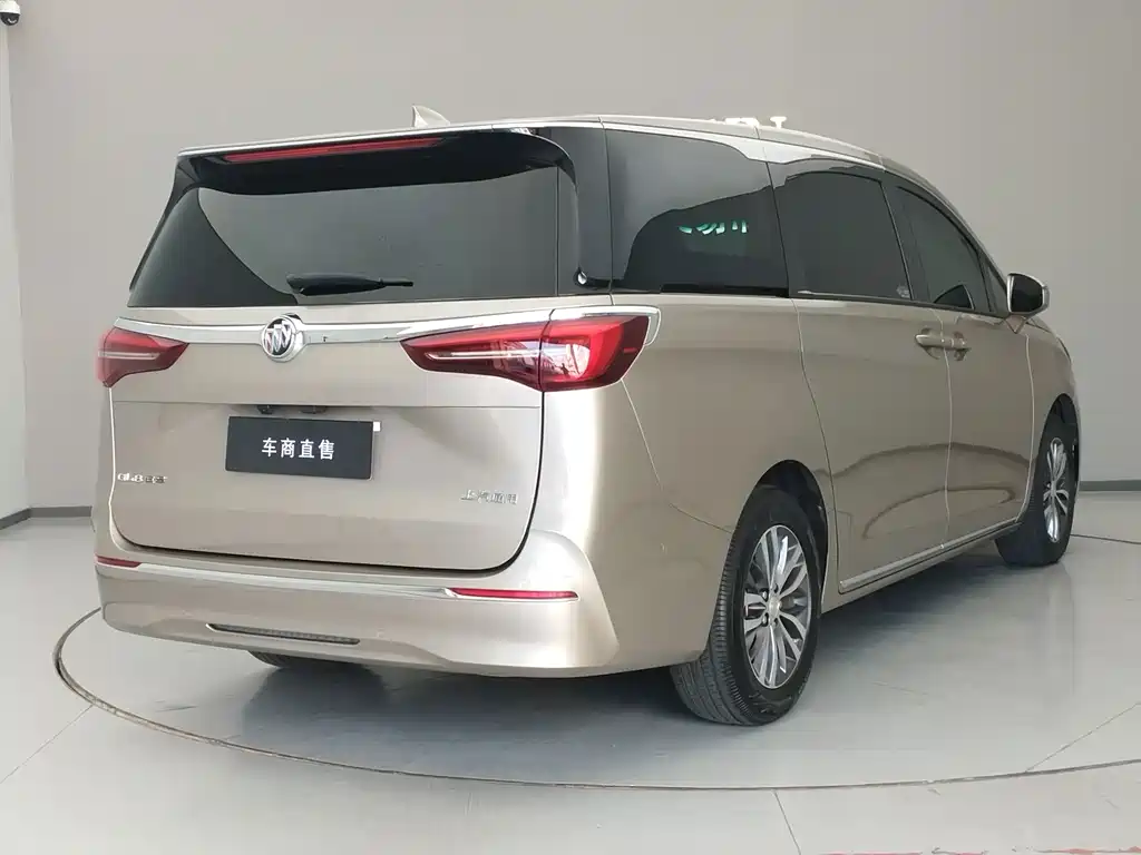 Buick GL8 — миниатюра 5
