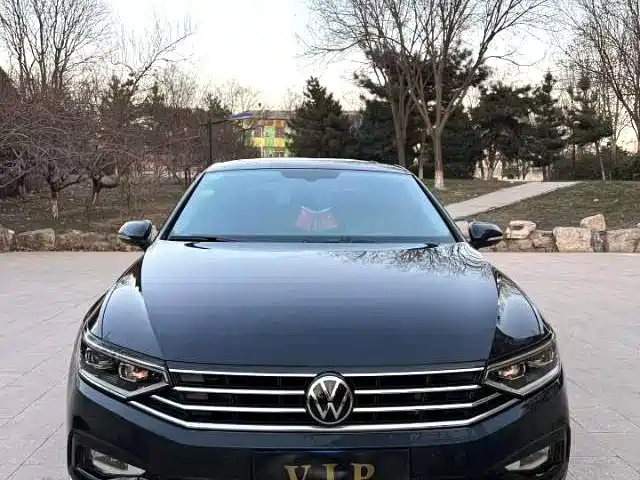Volkswagen Magotan — миниатюра 2