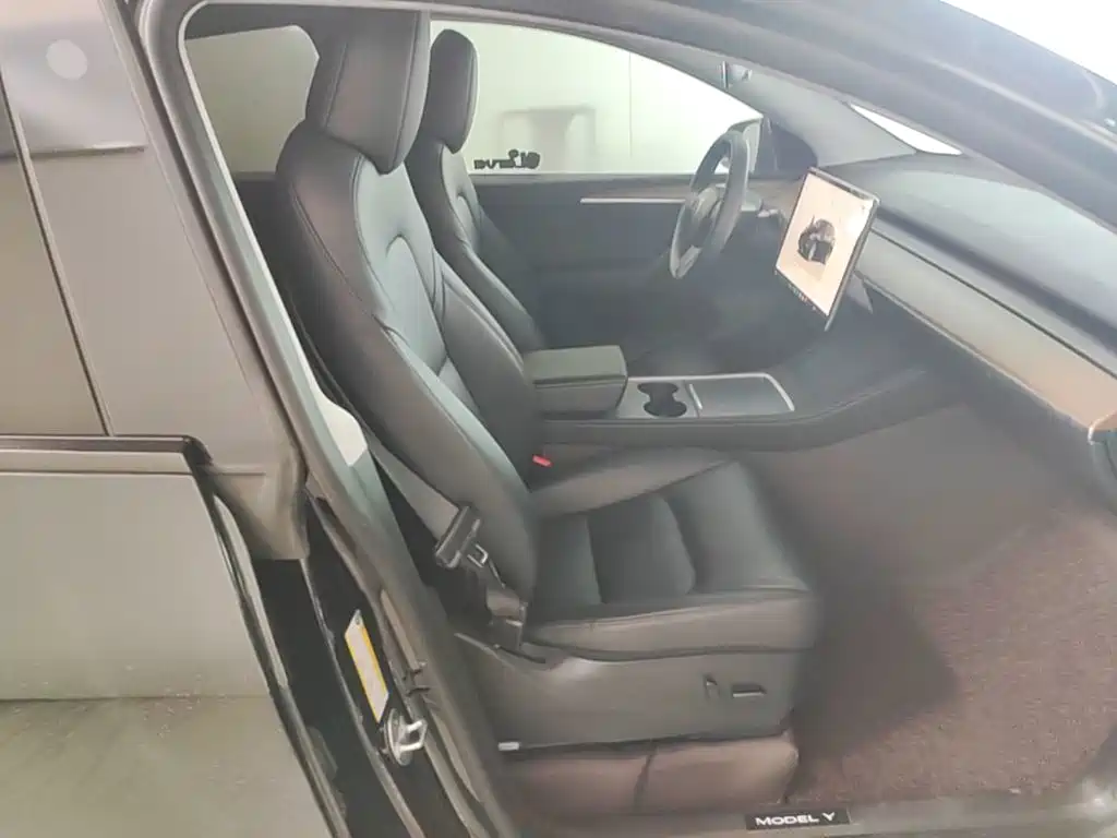 Tesla Model Y — миниатюра 25