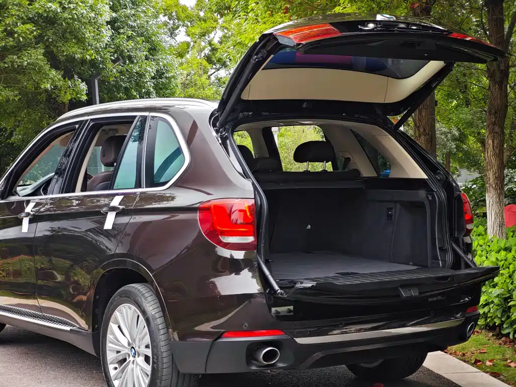 BMW X5 (Import) — миниатюра 7