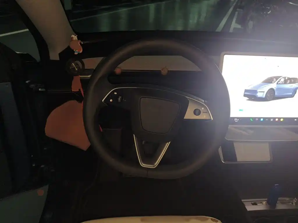Tesla Model Y — миниатюра 3