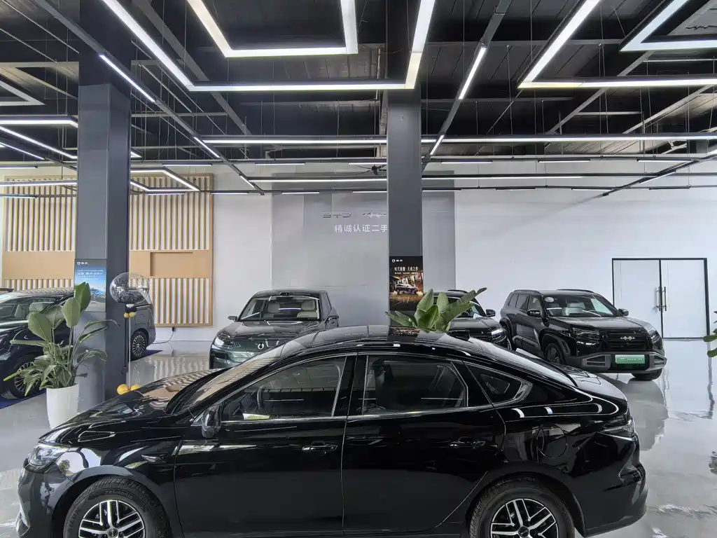 BYD Seal 05 DM-i 05 DM-i 2025 DM-i Smart Drive 120KM Flagship