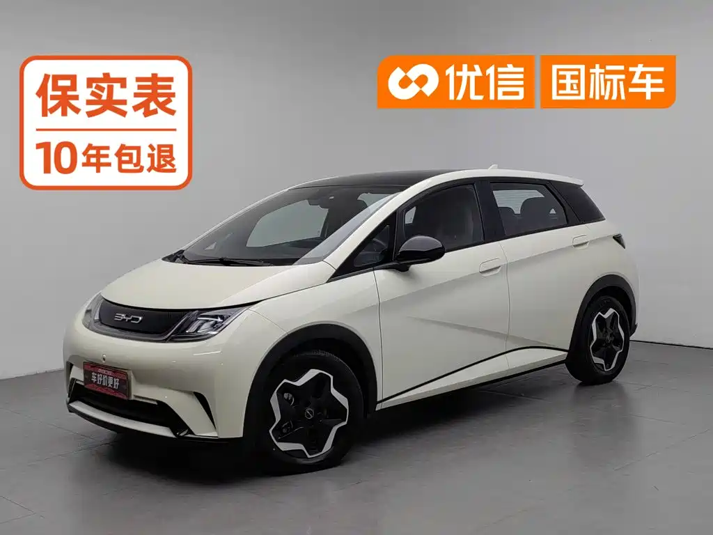 BYD Dolphin