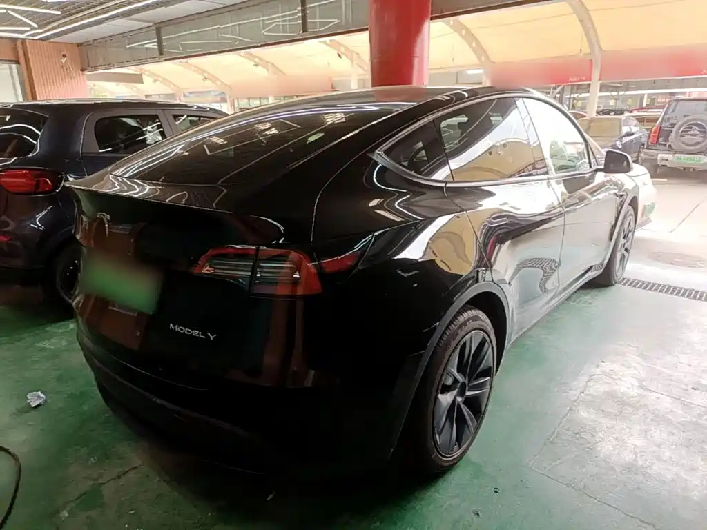 Tesla Model Y — миниатюра 7