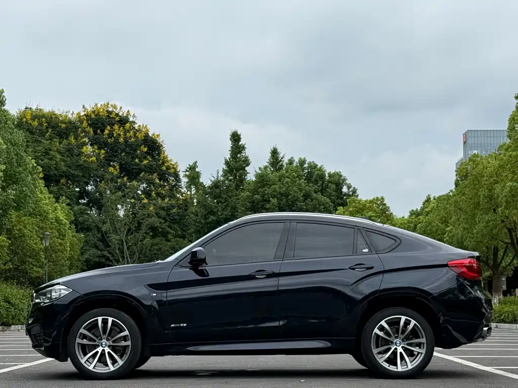 BMW X6 — миниатюра 4