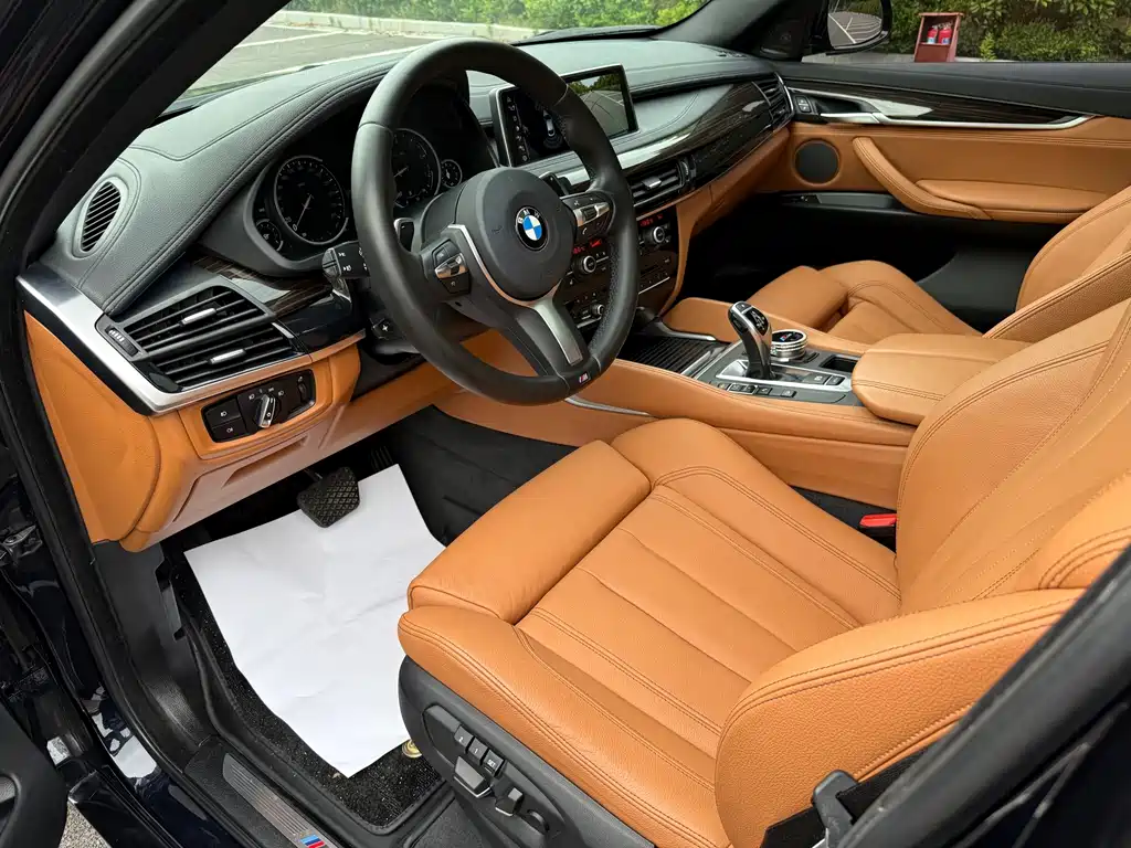 BMW X6 — миниатюра 18