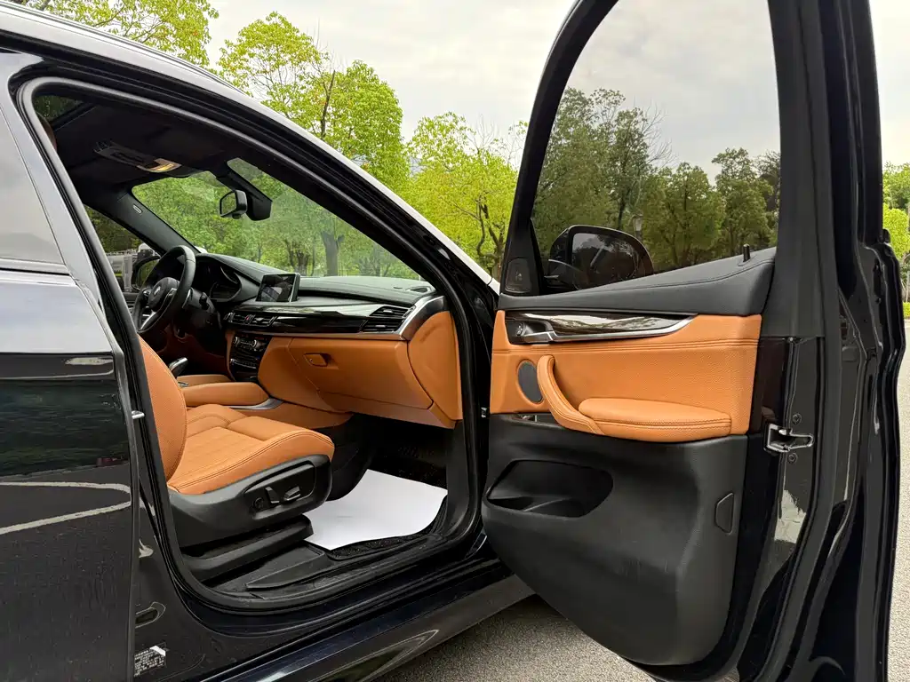 BMW X6 — миниатюра 24