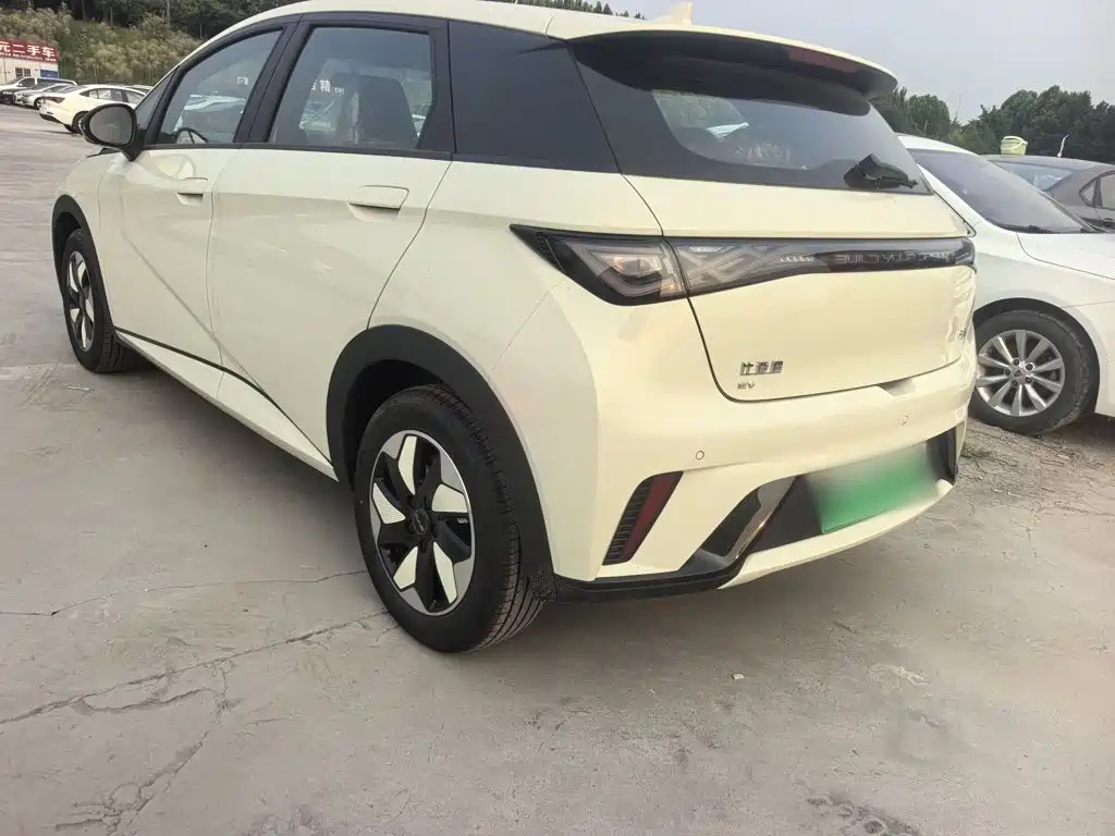 BYD Dolphin 2025 420km Freedom
