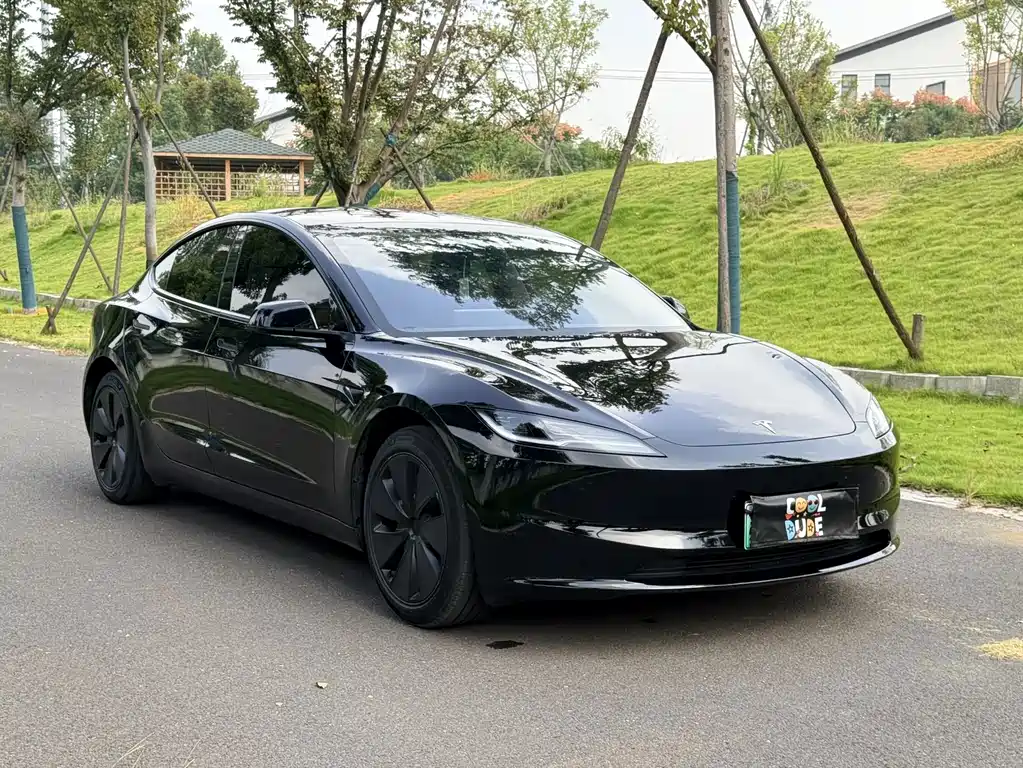 Tesla Model 3 — миниатюра 4