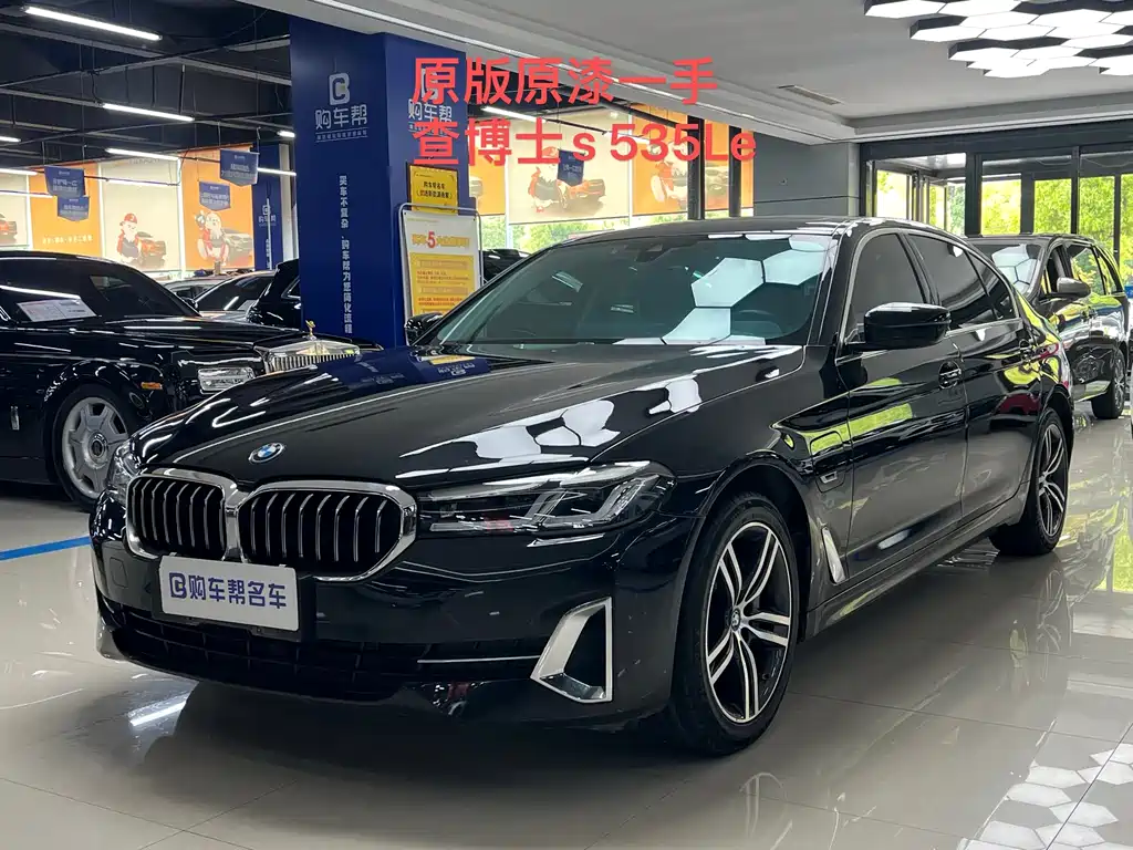 BMW 5 Series New Energy 2023