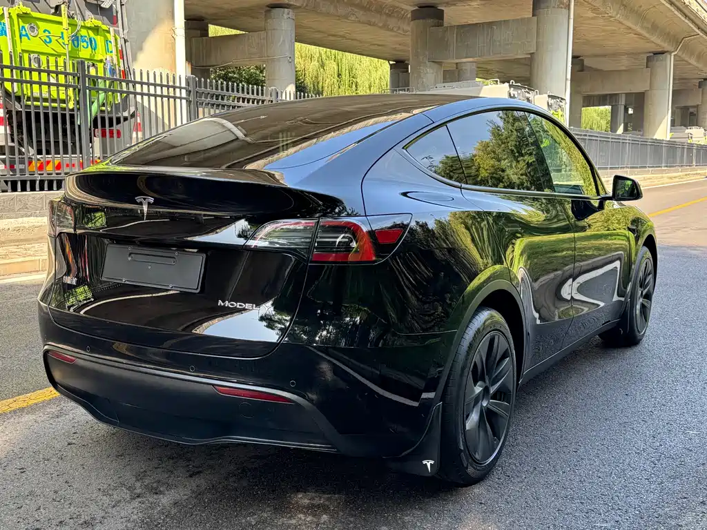 Tesla Model Y — миниатюра 14