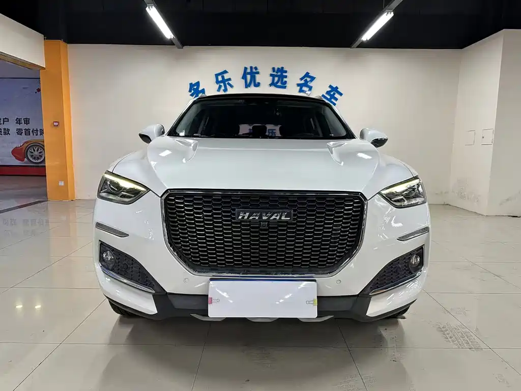 Haval F5 — миниатюра 2