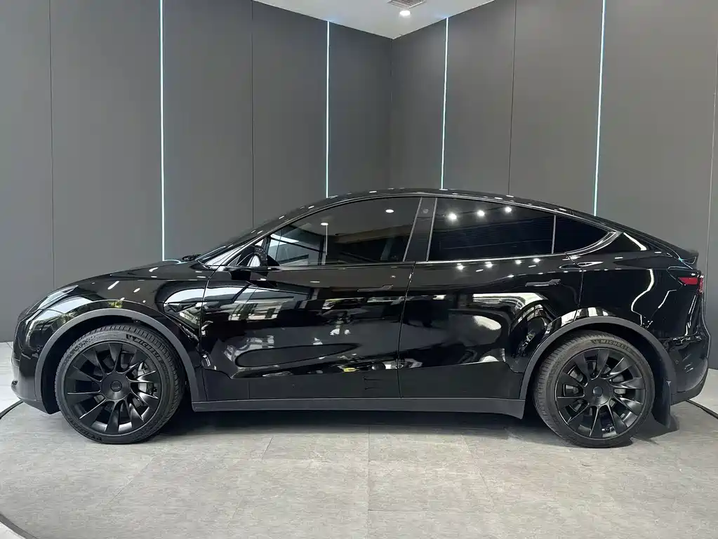 Tesla Model Y — миниатюра 5
