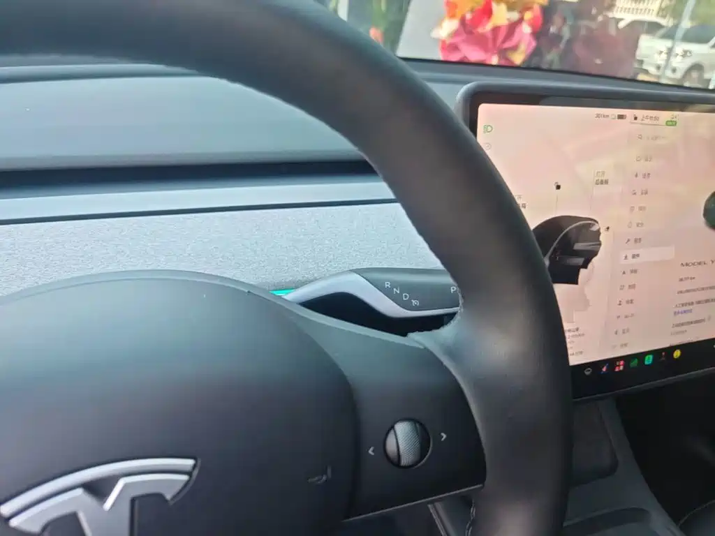 Tesla Model Y — миниатюра 14