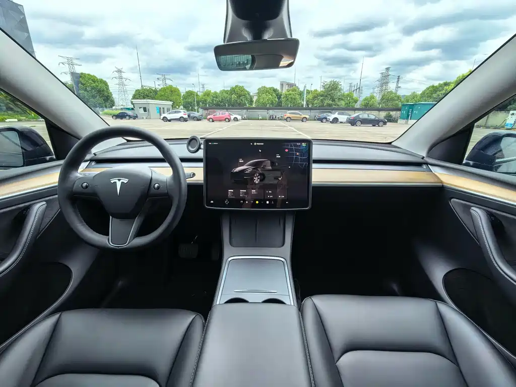 Tesla Model Y — миниатюра 9