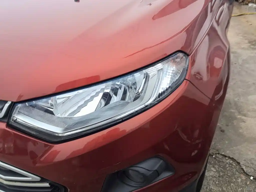 Ford Ecosport — миниатюра 24