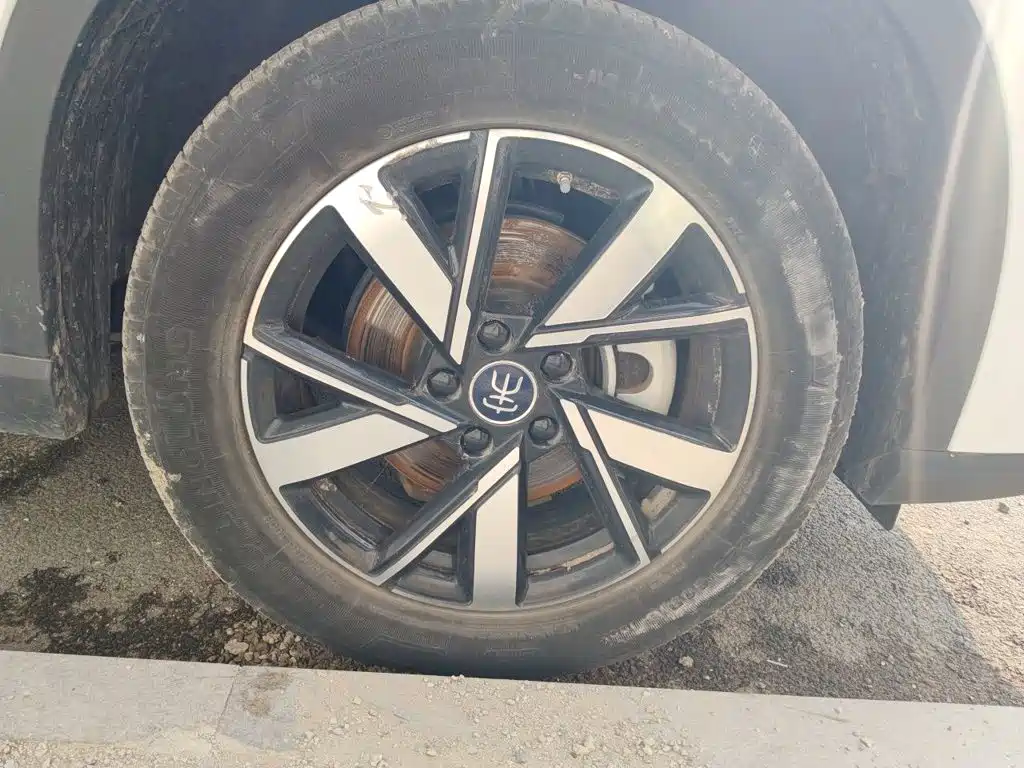 BYD Pro New Energy — миниатюра 8
