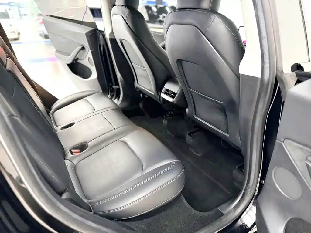 Tesla Model Y — миниатюра 4
