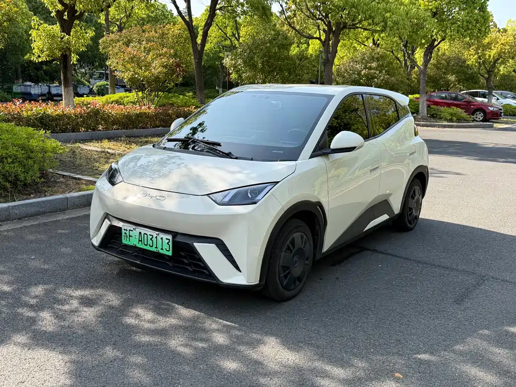 Byd Seagull 2024