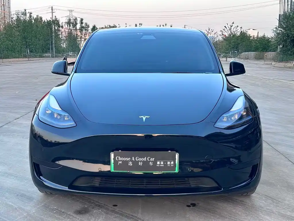 Tesla Model Y — миниатюра 2