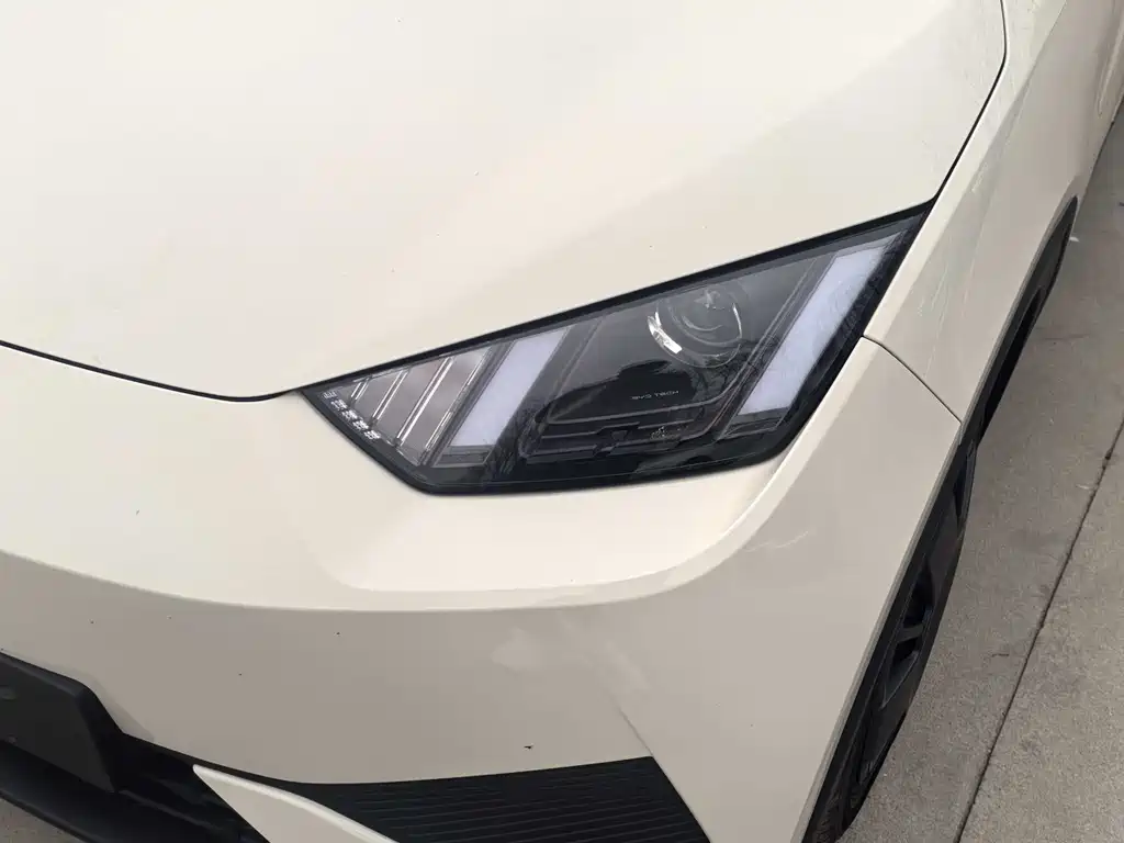 BYD Seagull 2025 305km