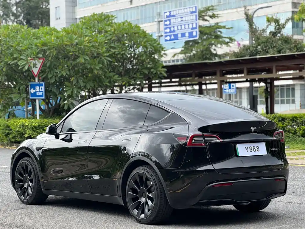 Tesla Model Y — миниатюра 6