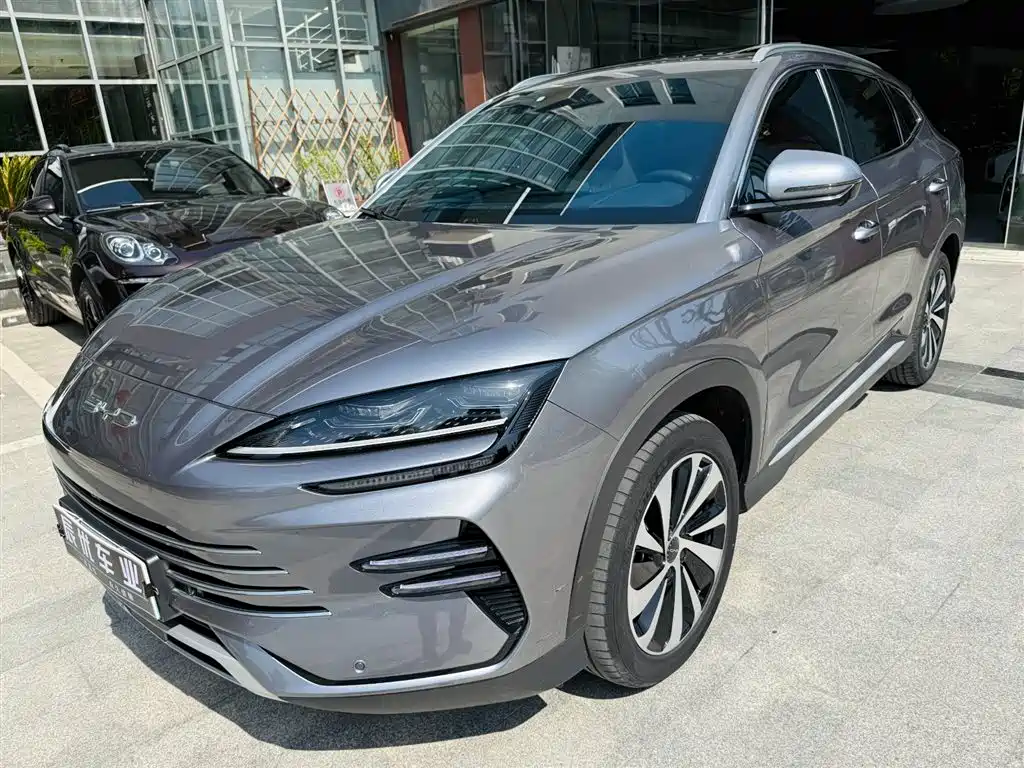 Byd PLUS New Energy 2024