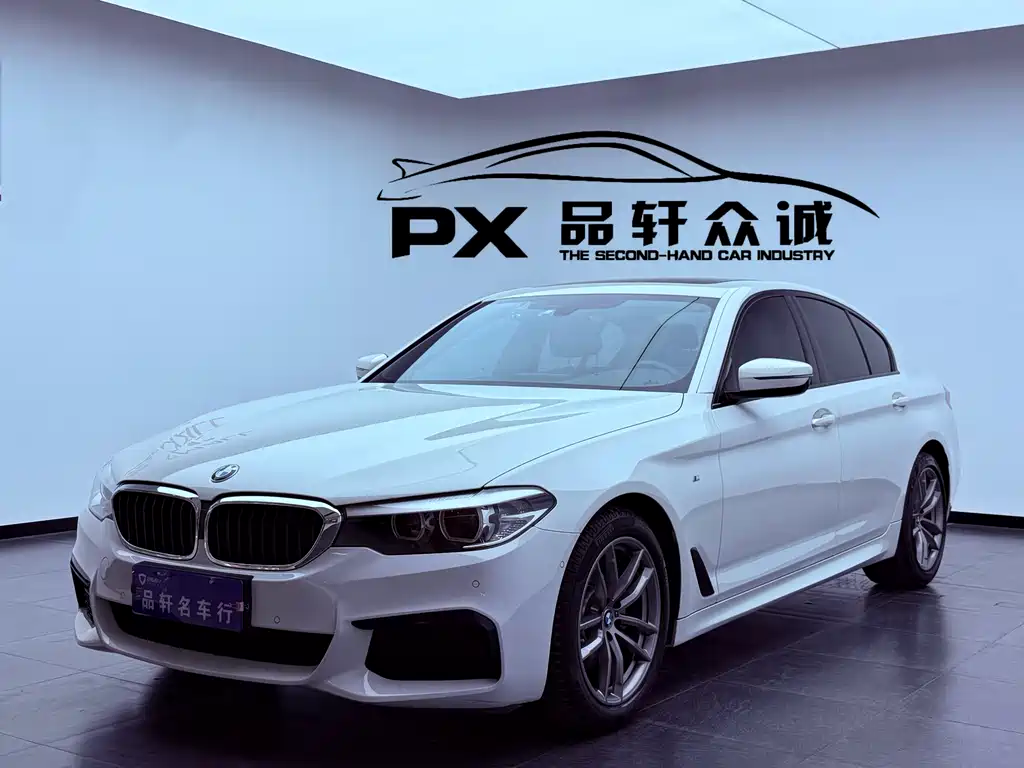 BMW 5 Series (Import) 2019