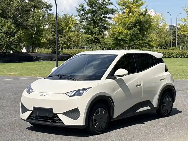 2025 BYD Seagull