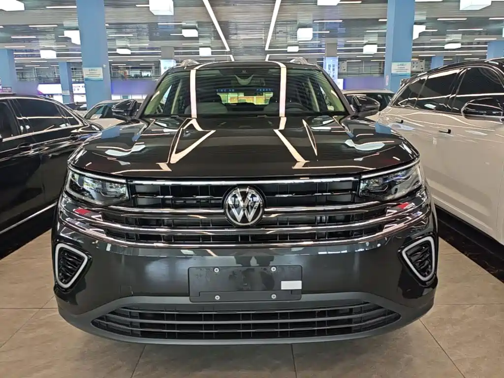 Volkswagen Tavendor — миниатюра 3
