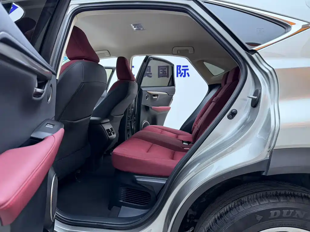 Lexus NX — миниатюра 11