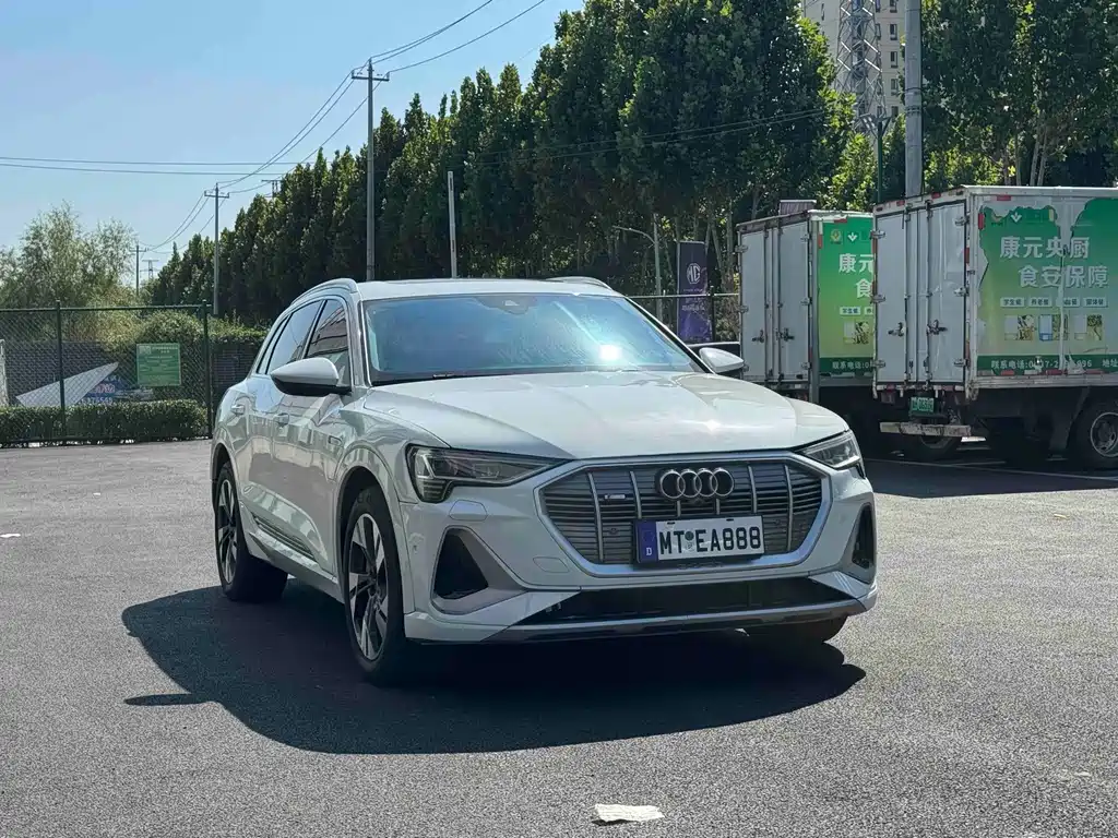 Audi e-tron (Import) — миниатюра 3