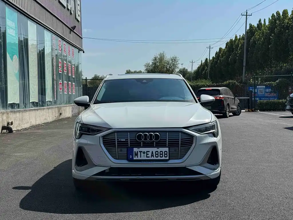 Audi e-tron (Import) — миниатюра 2