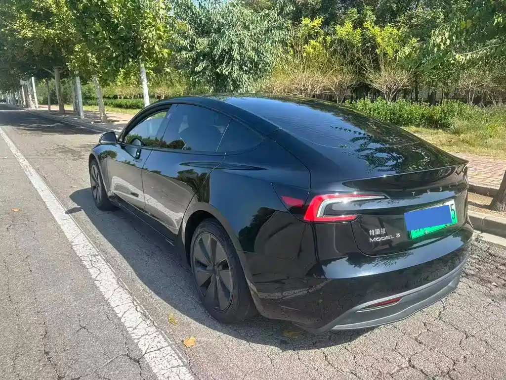 Tesla Model 3 — миниатюра 4